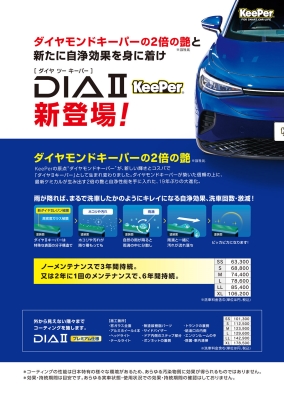 片面チラシ(B5) ダイヤⅡ PK57-30 30枚