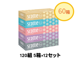 【8ケース以上】スコッティファン 120組 1ケース60箱入り（5箱×12個セット）