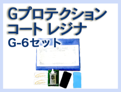 G プロテクションコート レジナ G-6セット